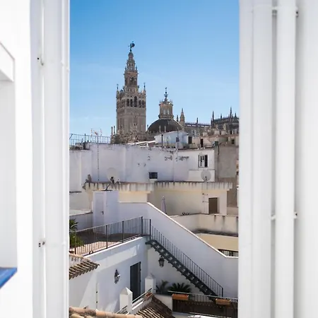 Rey De Flats - Arenal Daire Sevilla